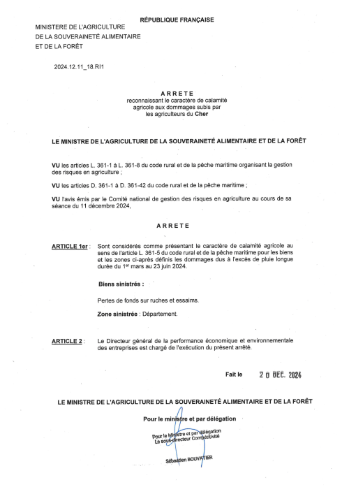 18.RI1 AM de reconnaissance pertes de fonds API 2024 1