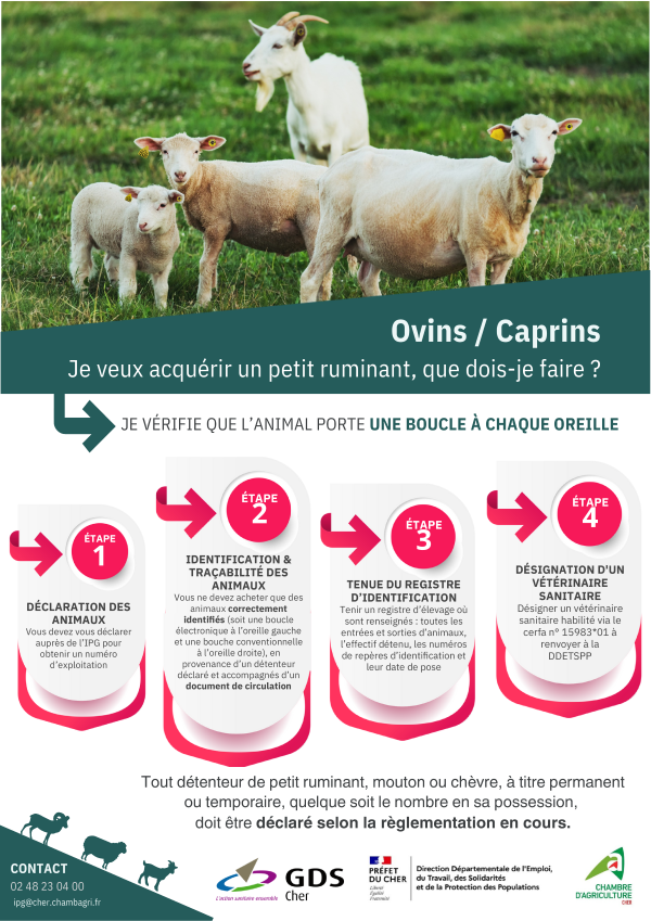 250613 Ovins Caprins Je veux acquérir un petit ruminant que dois je faire.pdf
