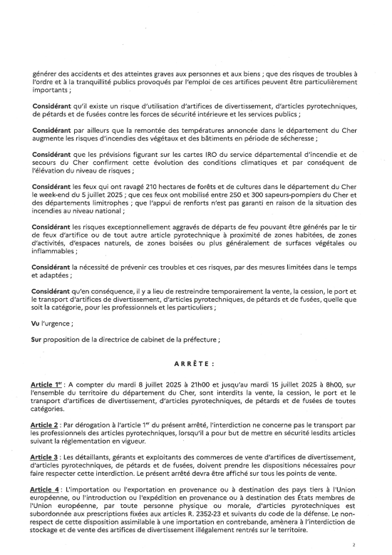 PAGE 2 FEU ARTIFICE