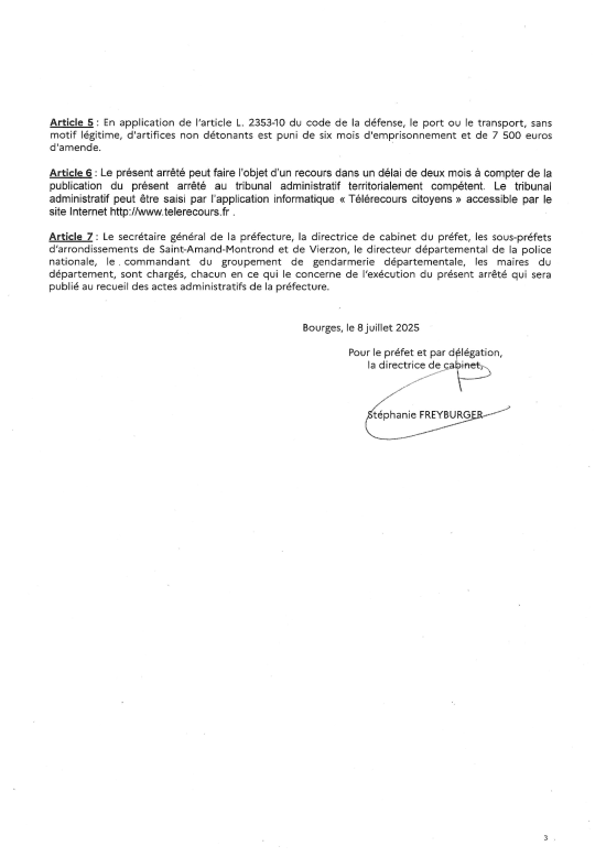 PAGE 3 FEU ARTIFICE